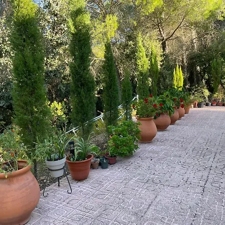 Casa San Francisco De Asis בקתה *