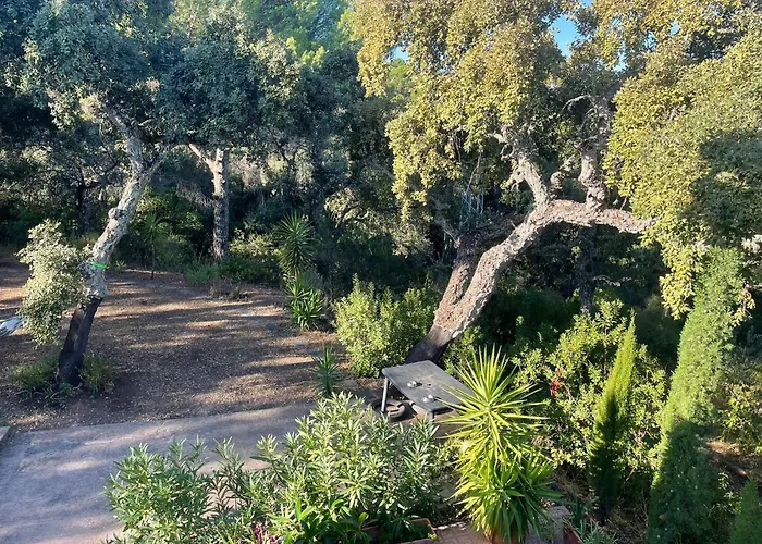 Casa San Francisco De Asis