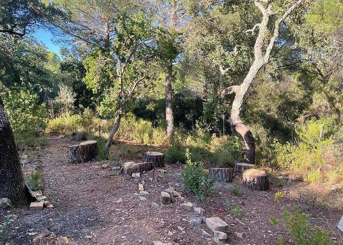 Chalet Casa San Francisco De Asis