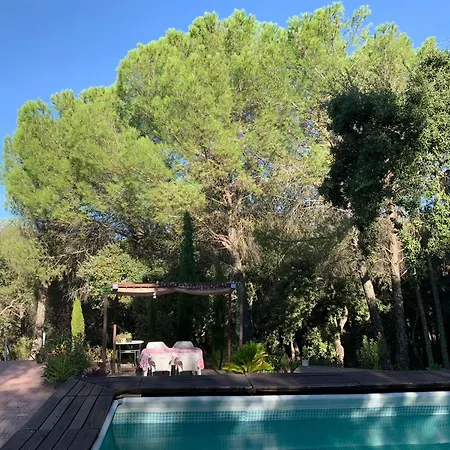 Chalet Casa San Francisco De Asis